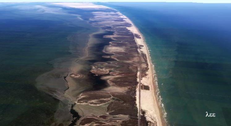 South Padre Stayz South Padre Island Extérieur photo