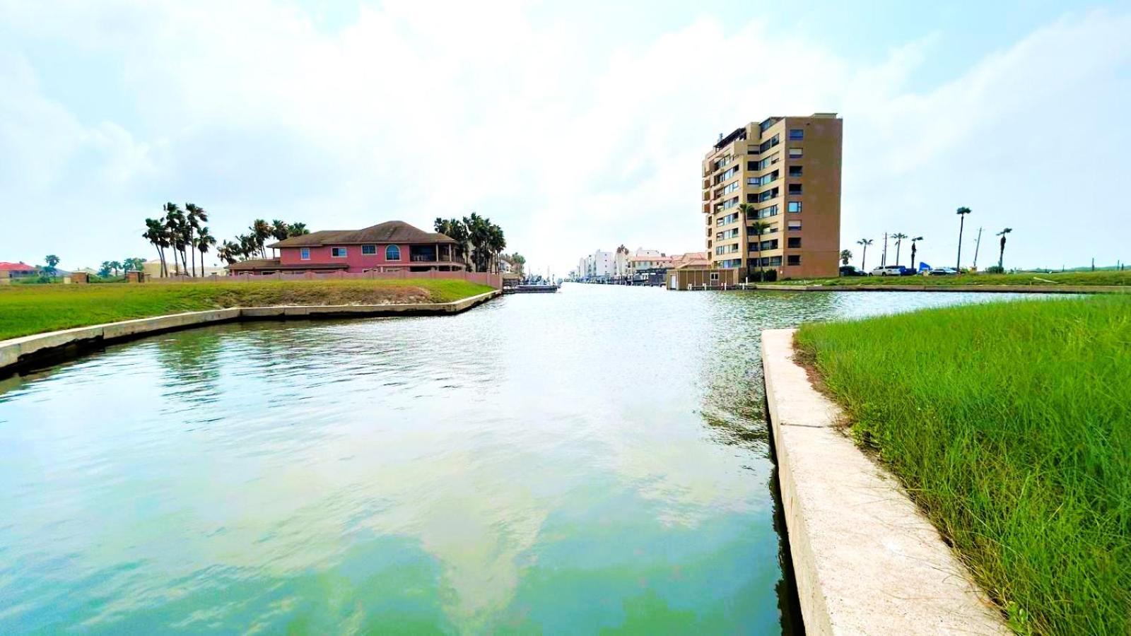 South Padre Stayz South Padre Island Extérieur photo