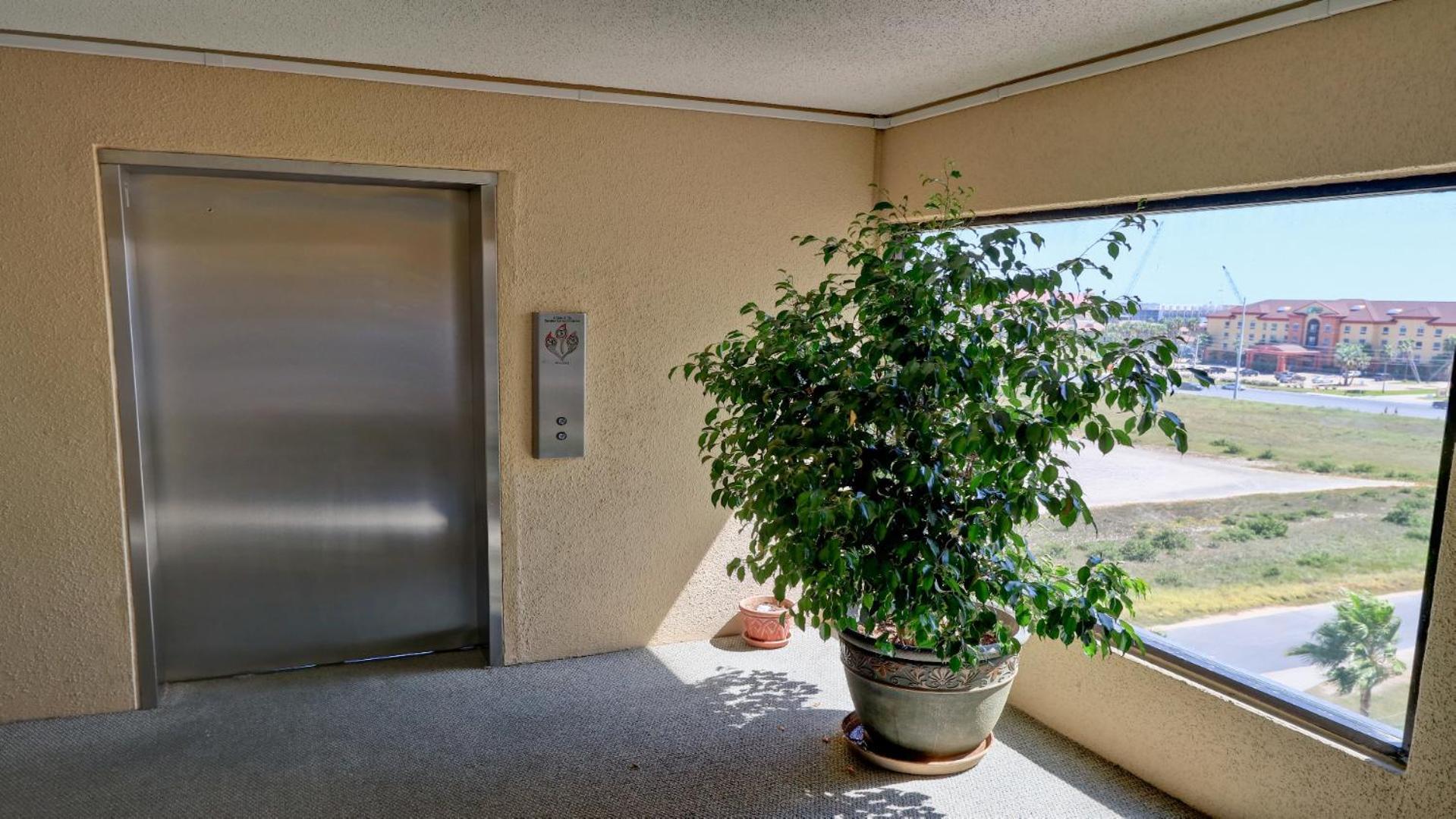 South Padre Stayz South Padre Island Extérieur photo