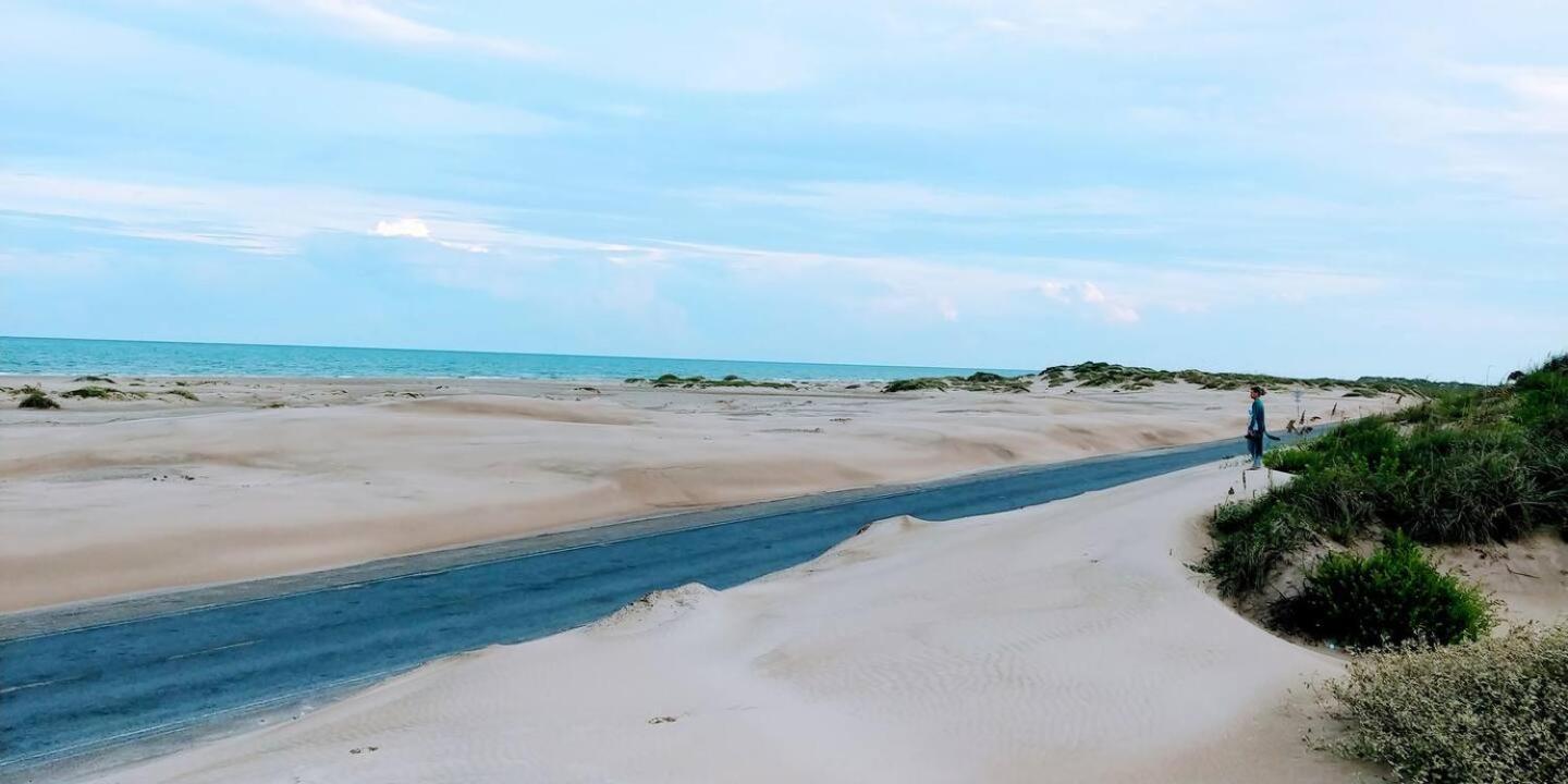 South Padre Stayz South Padre Island Extérieur photo